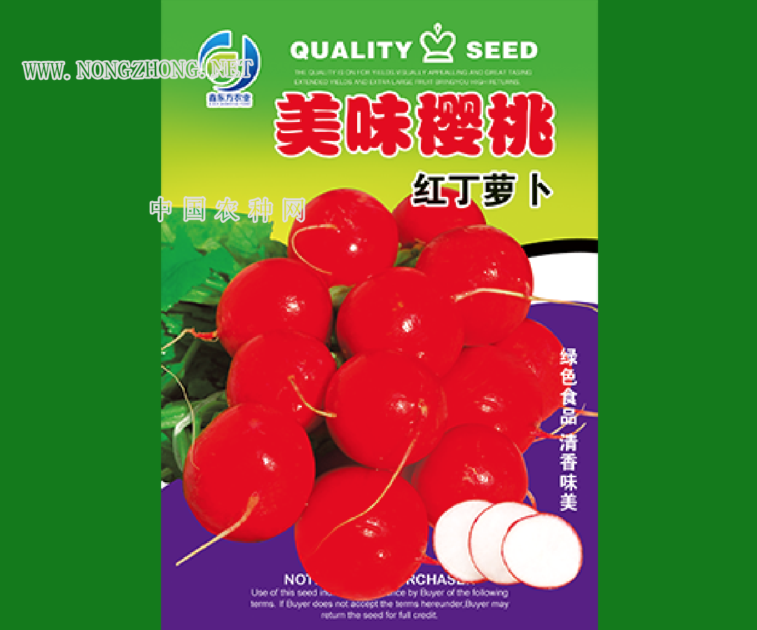 美味樱桃萝卜红丁